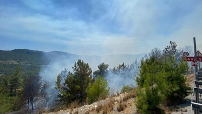 Antalya Akseki'deki orman yangınıyla ilgili bir kişi tutuklandı