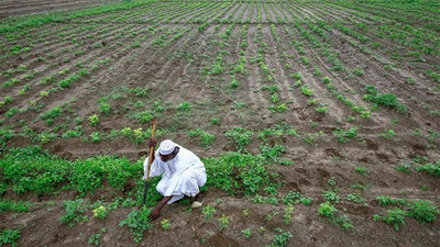 Türkiye, Sudan'dan tarıma başlıyor: 100 bin hektar arazi tahsis edildi