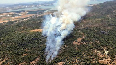 Menderes'te orman yangını