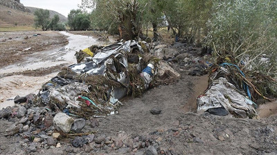 Kars'ta etkili olan sel araç ve hayvanları sürükledi