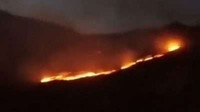 Hakkari Şemdinli'de orman yangını