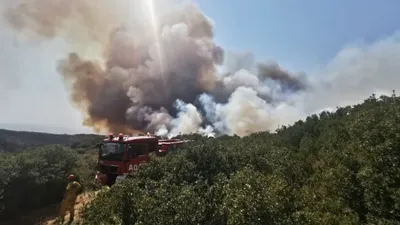 Seydikemer ve Ezine'de orman yangını