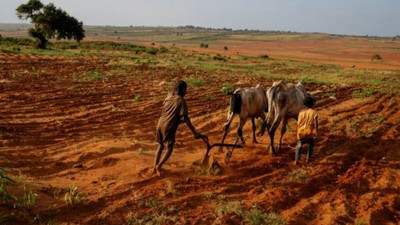 Madagaskar iklim değişikliği kaynaklı kıtlık görülen ilk ülke olmak üzere