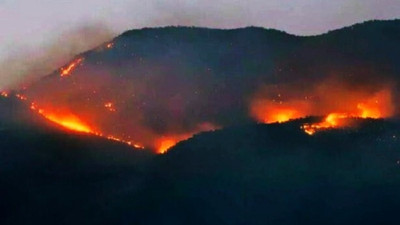 Dersim ve Şırnak'taki orman yangınları için tweet kampanyası