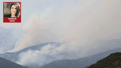 SİHA bombardımanı sonucu başlayan orman yangını 12'nci gününde: Havadan müdahale edilmesi gerekiyor