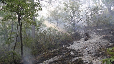 HDP'li Önlü: Yangınları çıkaranlar söndürülmesine engel olanlardır