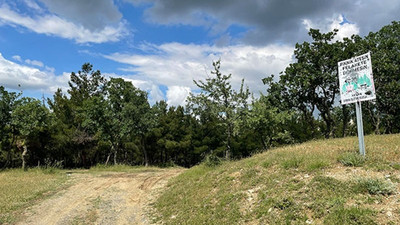 Edirne’de ormanlara giriş yasağı uzatıldı