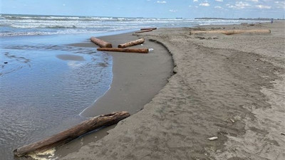 Sinop'ta selde sürüklenen tomruklar Karadeniz'e yayıldı: 174 km uzağa ulaştılar