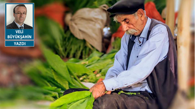 Tütün, ekmek, kapitalizm ve terörizm