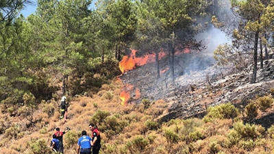 Bakanlık, ormanları yanan Muğla'yı maden, otel ve RES projelerine açtı