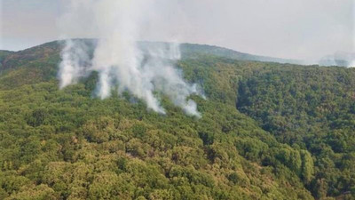 Ekoloji örgütleri Dersim’e gidiyor