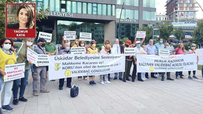 'Üsküdar Belediyesi Validebağ'da yol bakım çalışması adı altında doğa suçu işliyor'