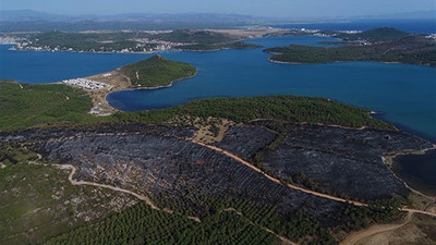 O zaman Dersim, Ayvalık niye yandı?