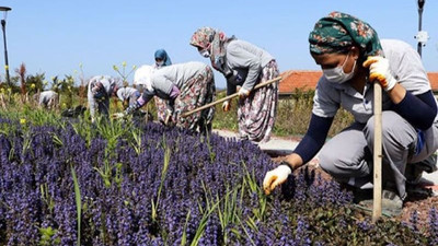 Ekonomide kayıt dışılıkta Mozambik seviyesindeyiz