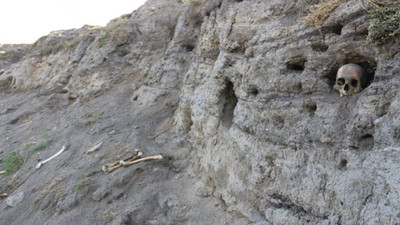 Değirmenler Höyüğü tahribata uğradı: Kafatasları ve kemikler çıkıyor