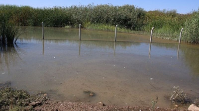 En verimli bölgelerden biri olan Suruç Ovası'nda 20 bin dönüm tarım arazisi sular altında kaldı