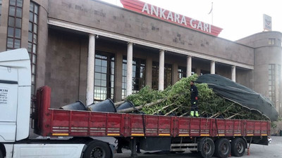 Ankara Valiliği, 10 Ekim’de katledilenleri temsil eden ağaçları kaldırdı