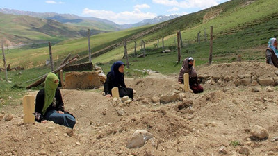 Atlar kavga etti, sahipleri birbirini vurdu: 5 ölü