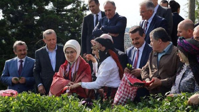 Cemil Çiçek'ten yargıçlara eleştiri: Çay toplamaya, zeytin toplamaya bile gidiyorlar