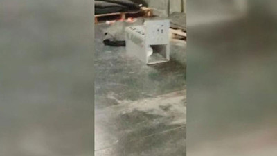 AVM otoparkına 'kedi kapanı'