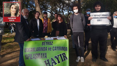 Beykoz Çayırı millet bahçesi yapılmak isteniyor: Doğa ranta kurban ediliyor