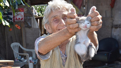 95 yaşındaki kadın 25 kediye bakıyor