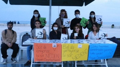 Mersin’de Dünya Vegan Günü etkinliği