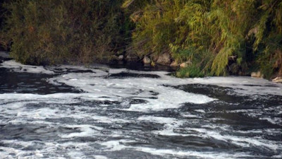 Ceyhan Nehri'nde tedirgin eden görüntü