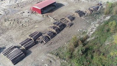 Sinop'taki selde büyük yıkıma yol açan tomruklar dere yatağında, halk tedirgin