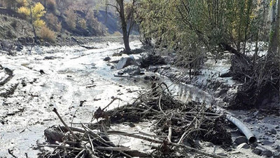 Siyanür şirketinden kapasite artırımı için başvuru