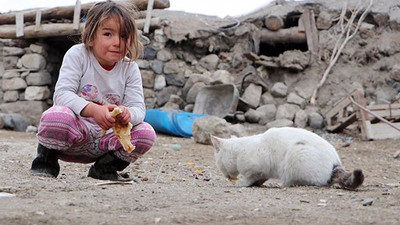 4 yaşındaki depremzede çocuk, dağıtılan ekmeği kedilerle paylaştı