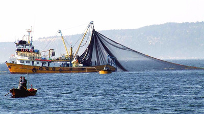 İşte sezonun ilk balık fiyatları