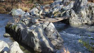 Yolu kısaltmak için dere üstüne köprü kurdu, canından oldu