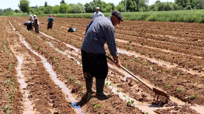 Baş: 4 bin yıldır yetiştirilen buğdayı üretemeyecek duruma geldik