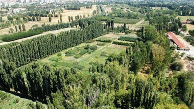 Sayıştay raporunda AOÇ Müdürlüğü’ne ‘şeffaflık’ eleştirisi