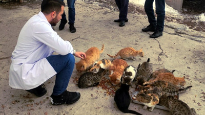 Kimsenin kalmadığı köyde, kedilerin ölmemesi için mücadele ediyor