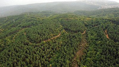 10 binlerce hektarlık alan yok olabilir