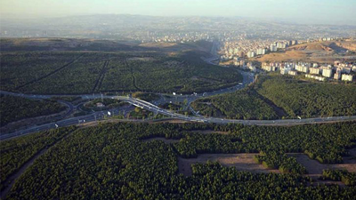 İş makineleri ODTÜ ormanına girdi