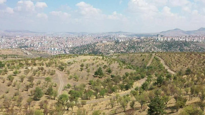 Yargı’dan, Atatürk Orman Çiftliği’nin askeri alan olarak yapılaşmaya açılmasına 'dur' kararı