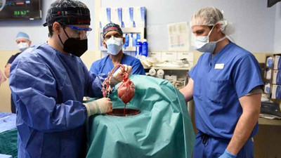 Genetiği değiştirilen domuz kalbi insana takıldı, hasta ölümden döndü