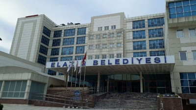 AKP’li belediyenin hayvan bakımevinde 4 ayda toplam bin 62 kedi ve köpek öldü