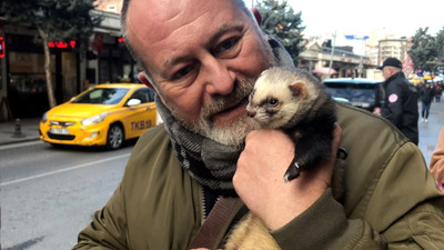 İspanya'dan gelen gelinciği, Türkiye'deki köpekler emzirdi