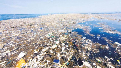 Ekolojik tehlike eşiğini aştı: Denizdeki plastiği yutmayan kalmadı