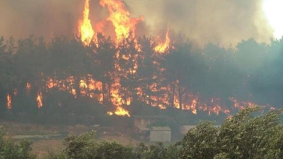 Manavgat'ta 3 farklı noktada orman yangını çıkaran sanığın cezası belli oldu