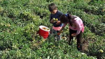 Bakanlık verileri: Çocuklar yoksulluk kıskacında ailelerinden koparılma riskiyle karşı karşıya