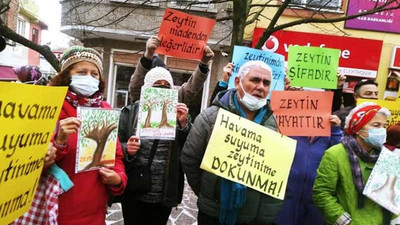 Çevre örgütleri, zeytinlikleri madenciliğe açacak yönetmeliğe karşı ayakta