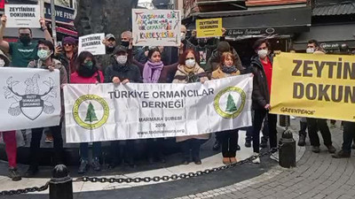 Zeytinliklerin madenciliğe açılması protesto edildi: 'Maden ve enerji şirketleri ayrıcalıklı mı?'