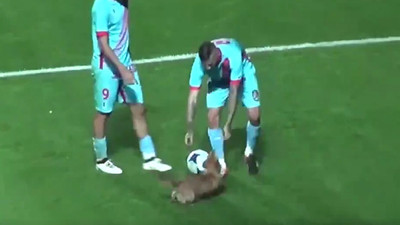 Topu görünce sahaya fırlayan futbolcu köpek