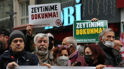 Ekoloji örgütleri: Zeytinlik talanını durduracağız