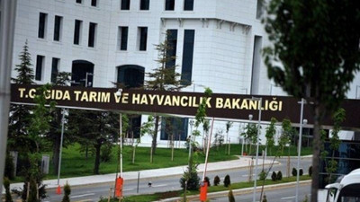 Cumhurbaşkanı atadı ama bakanlıkta adı yok: Çalışmadan genel müdür maaşı alıyor